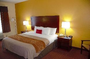 Americas Best Value Inn Saint Robert/Fort Leonard Wood Phòng bức ảnh